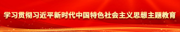 www.17c小嫩逼学习贯彻习近平新时代中国特色社会主义思想主题教育